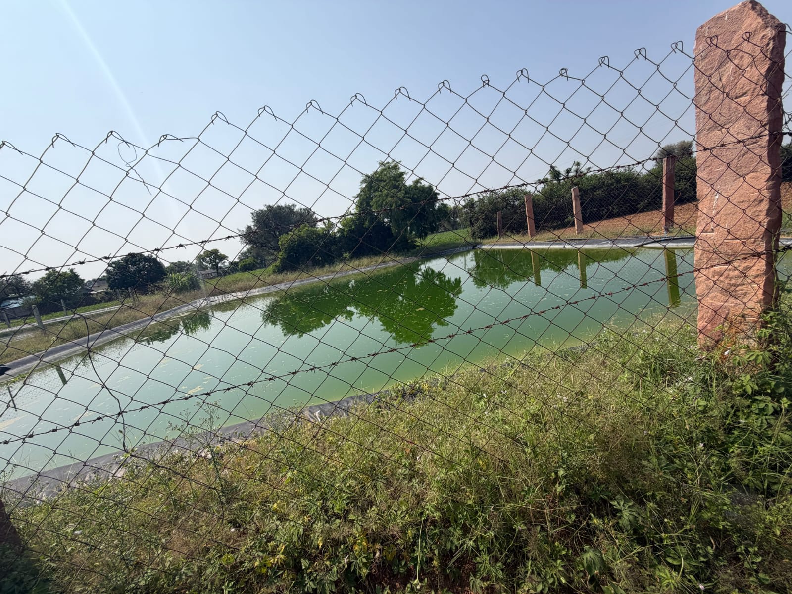 yadav Organic Farm, photograph 3