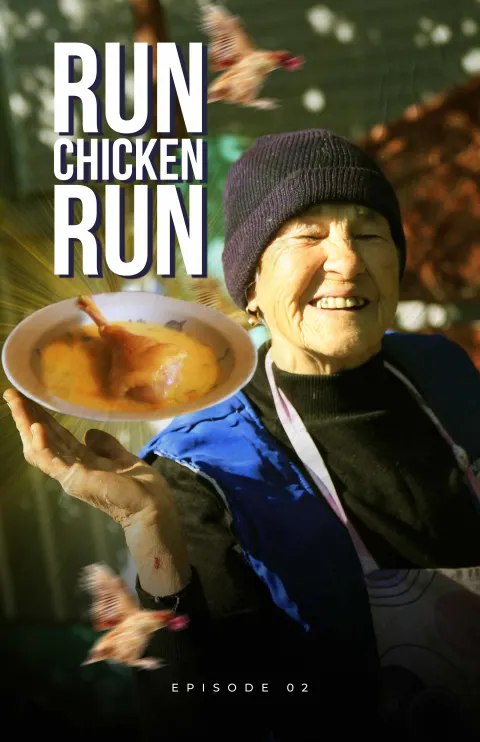 RUN CHICKEN - RUN!