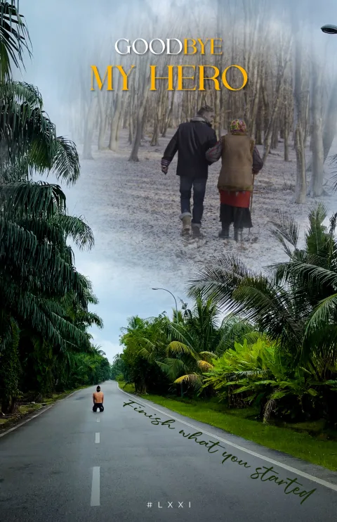 GoodBYE my HERO!