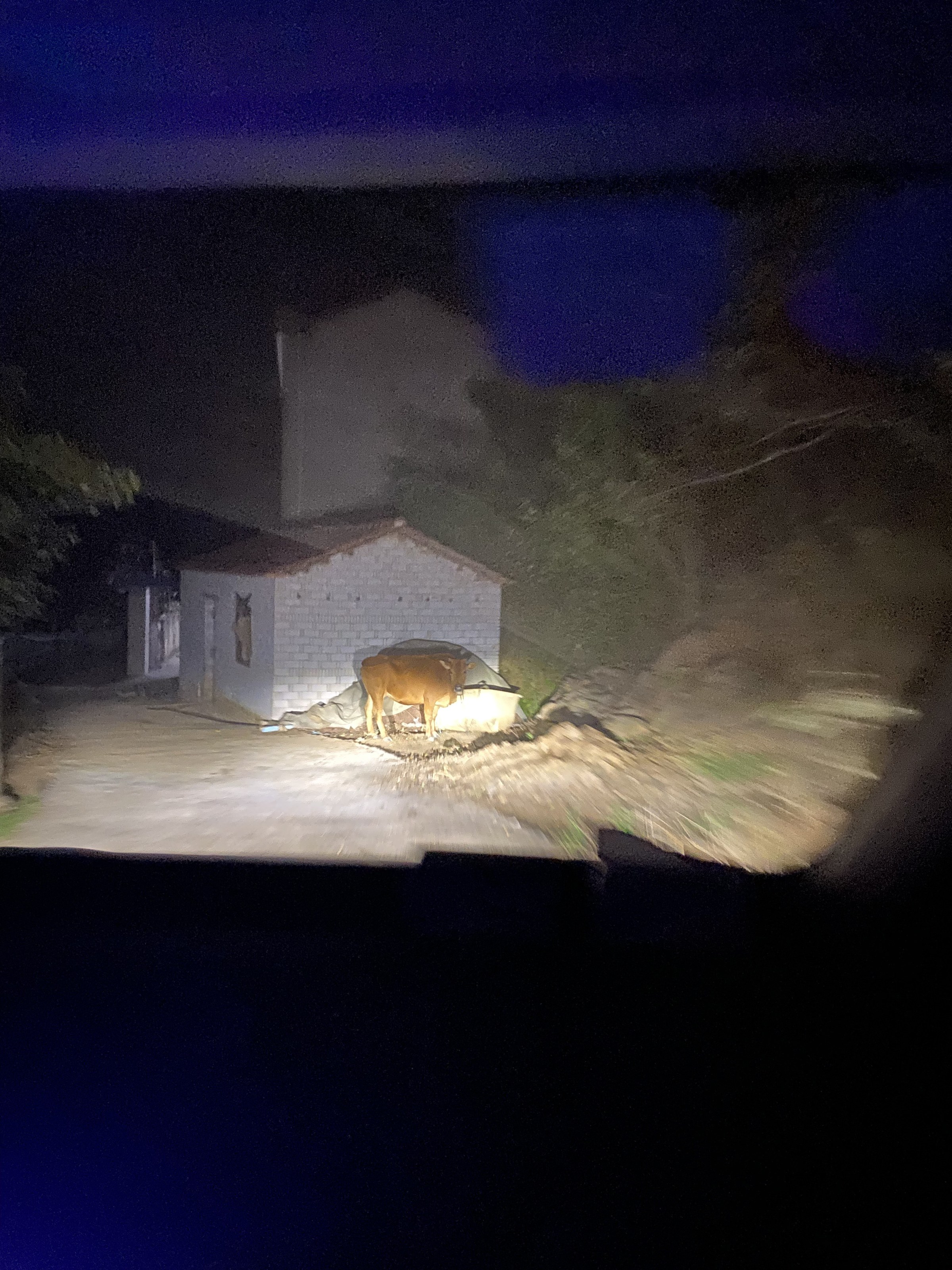 ghost photograph 4