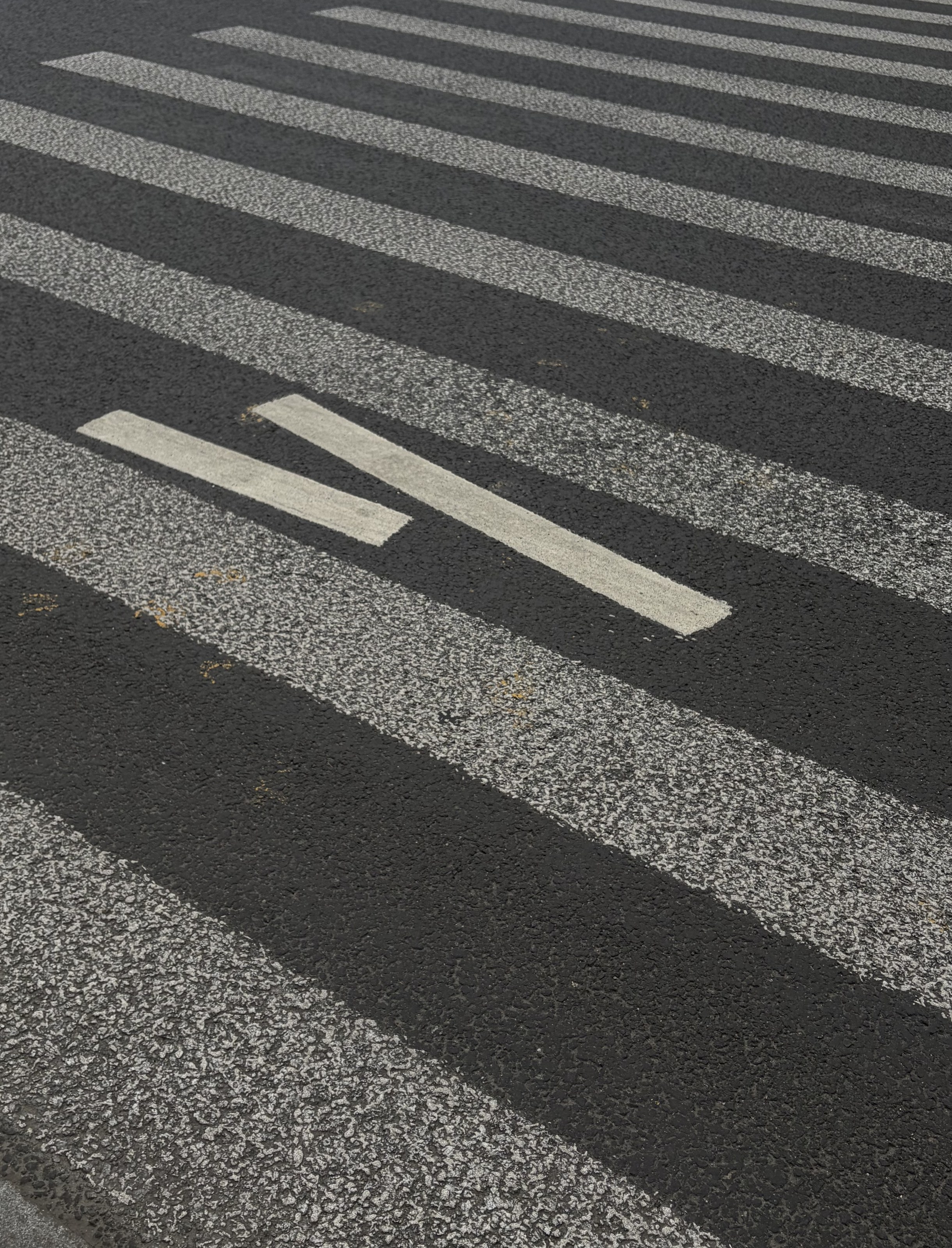 parallel photograph 1