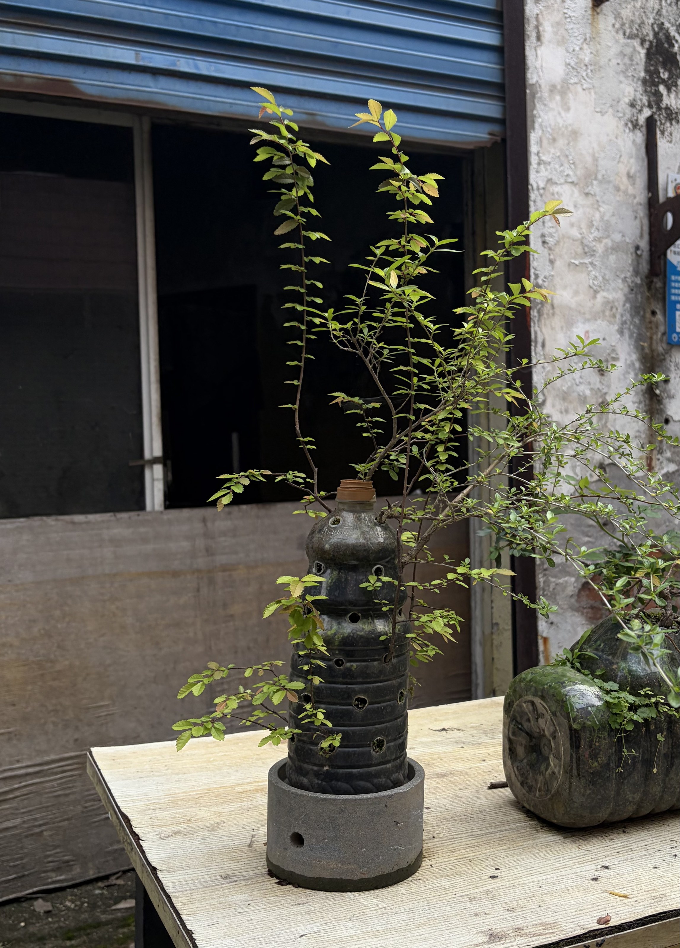 parallel photograph 9