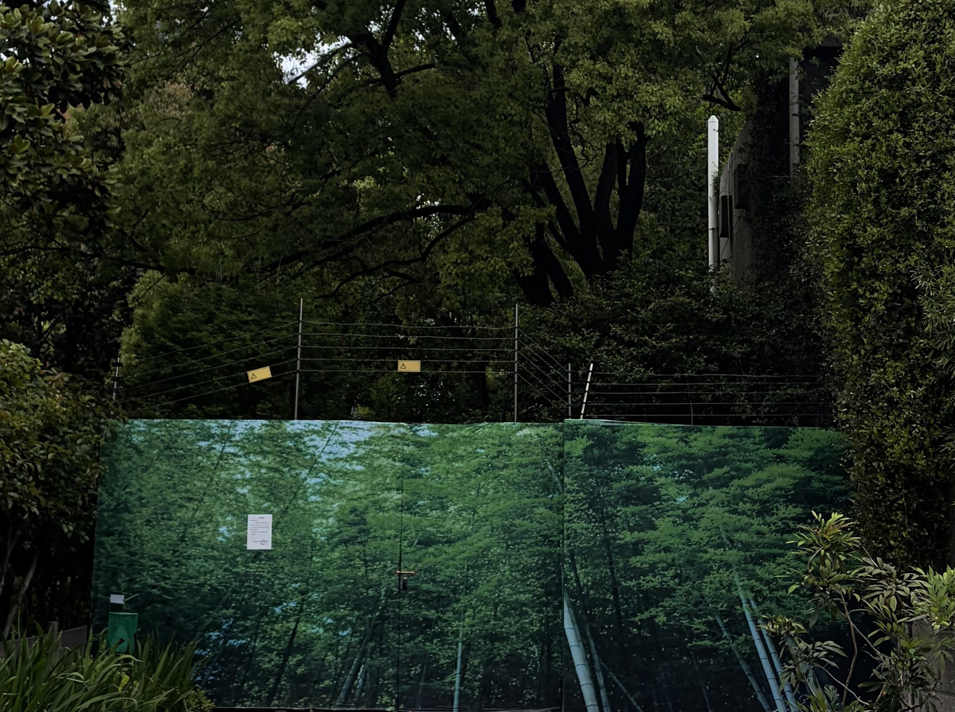 parallel photograph 10