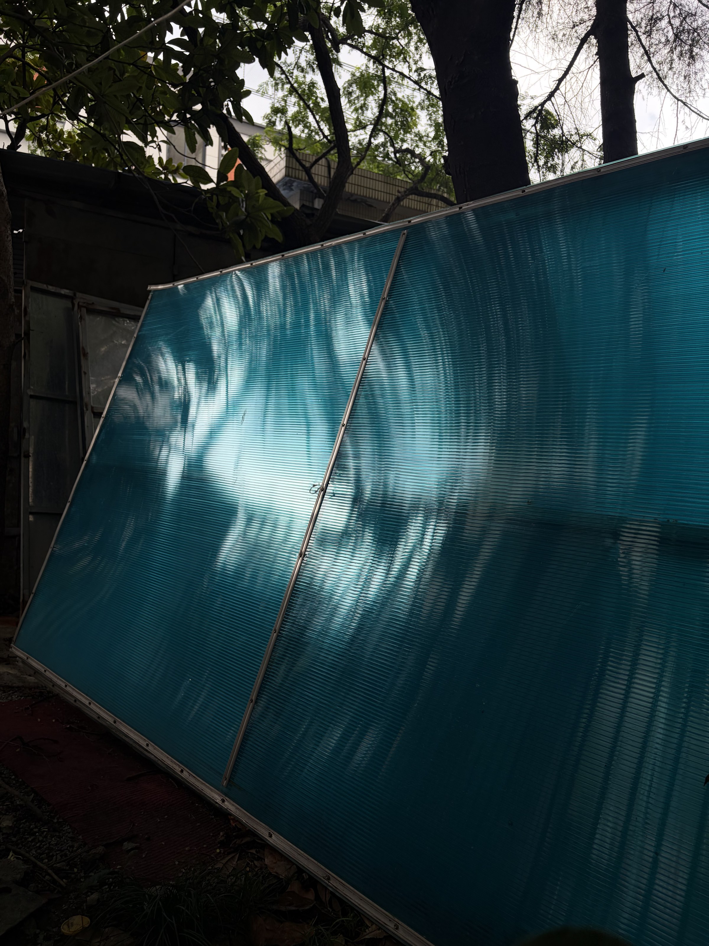 shadow photograph 3