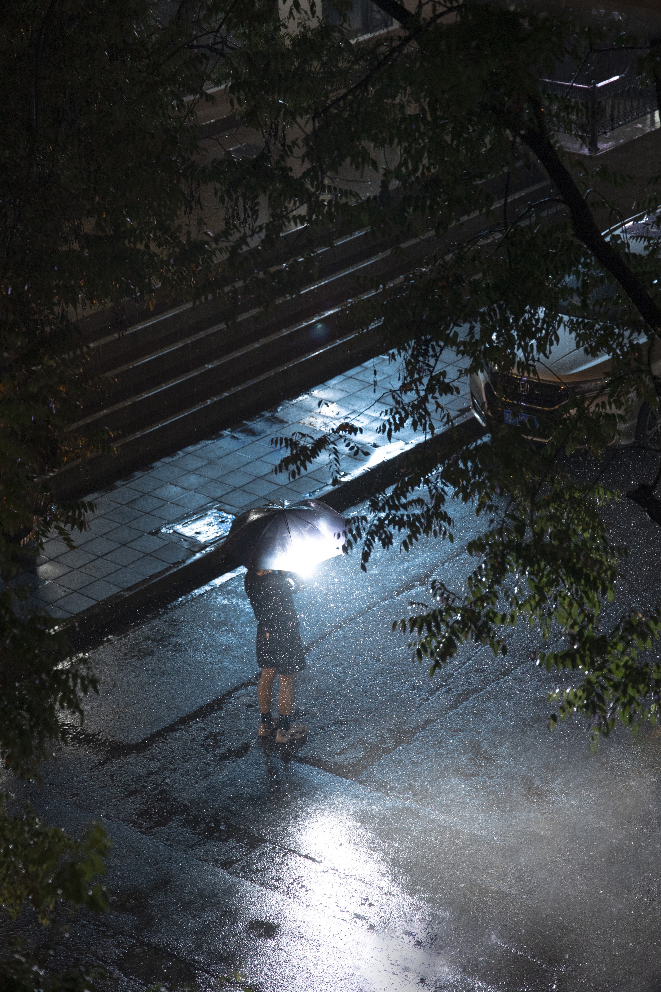 shadow photograph 4