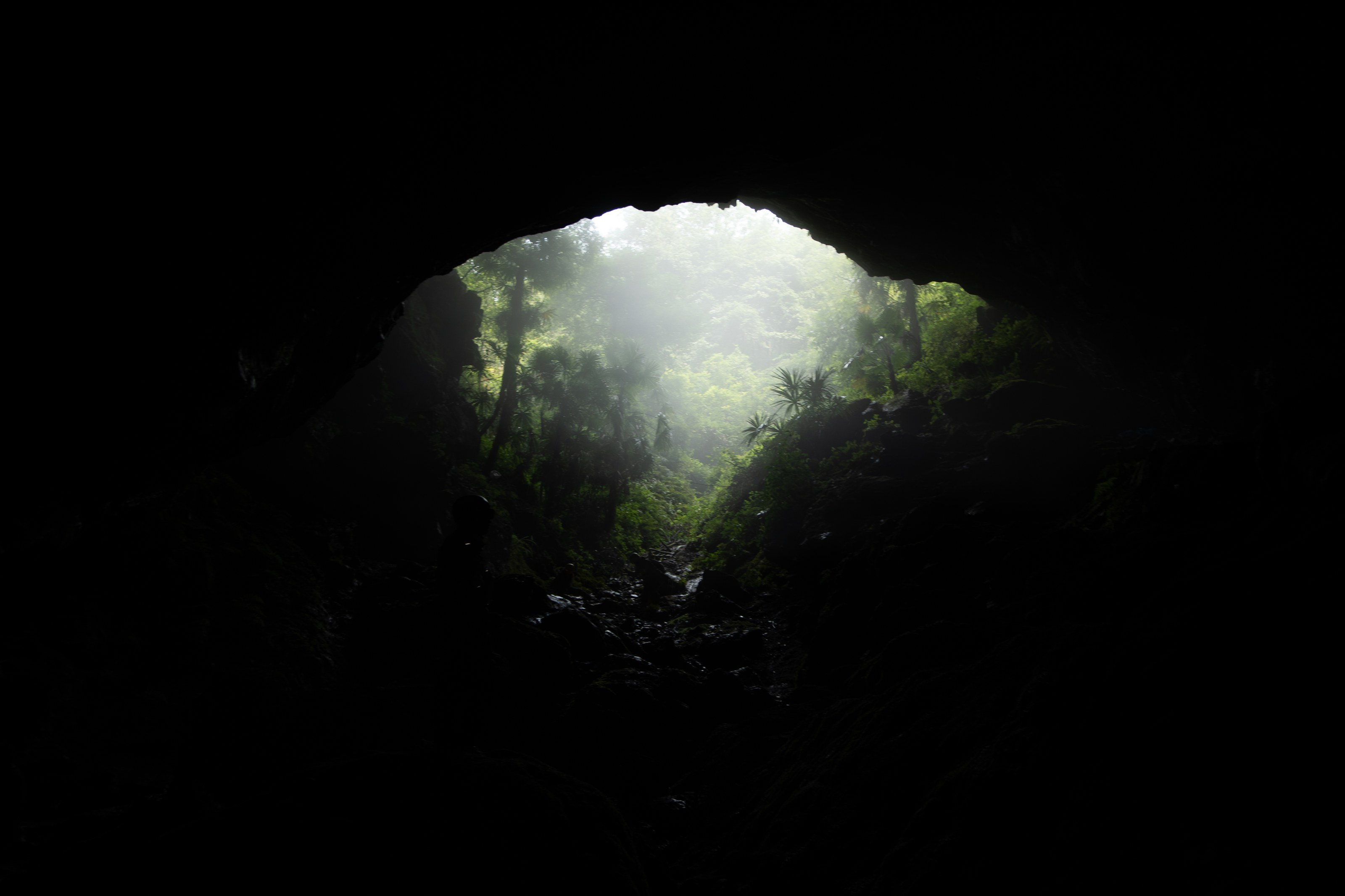 shadow photograph 9