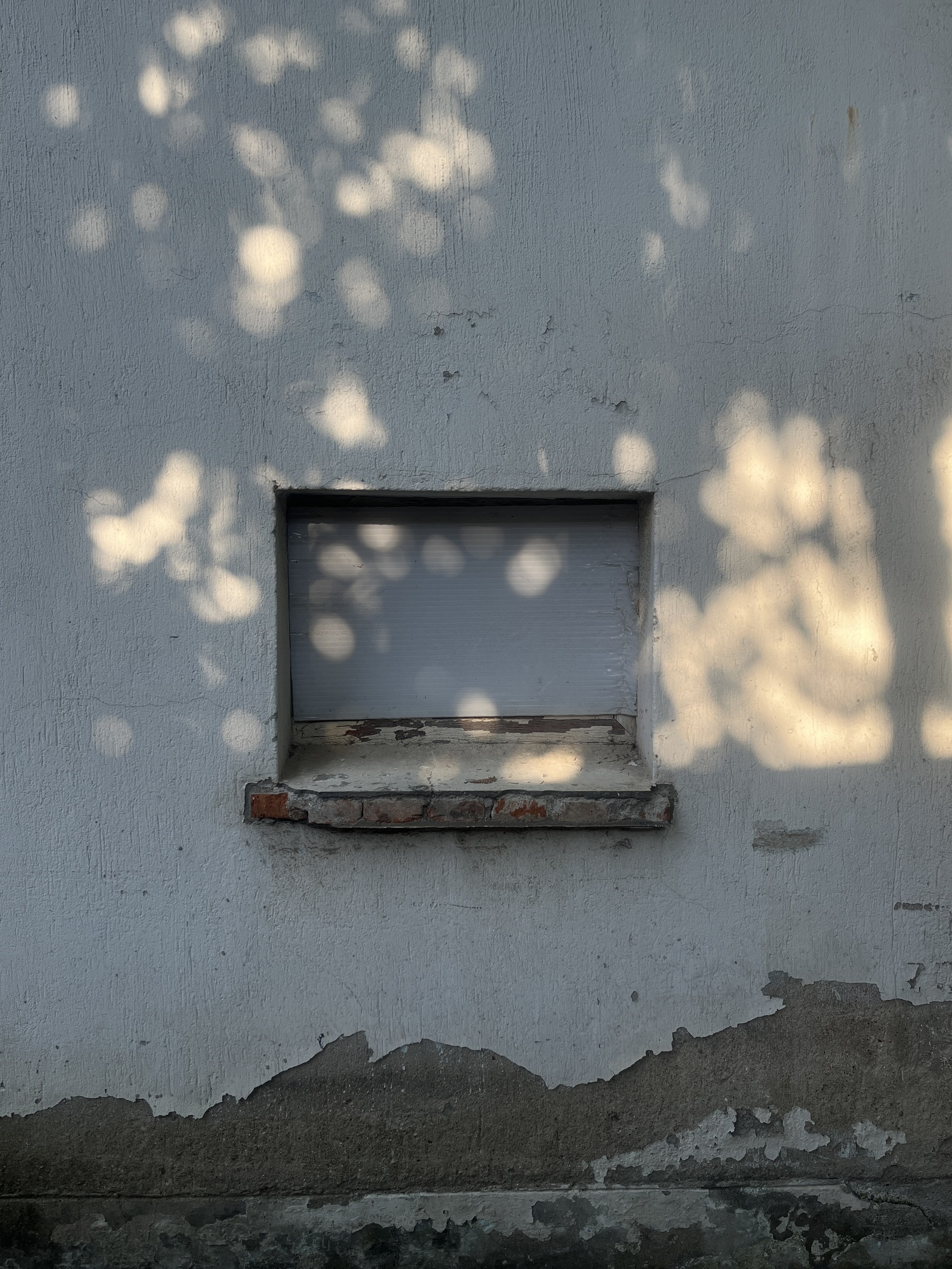 shadow photograph 10