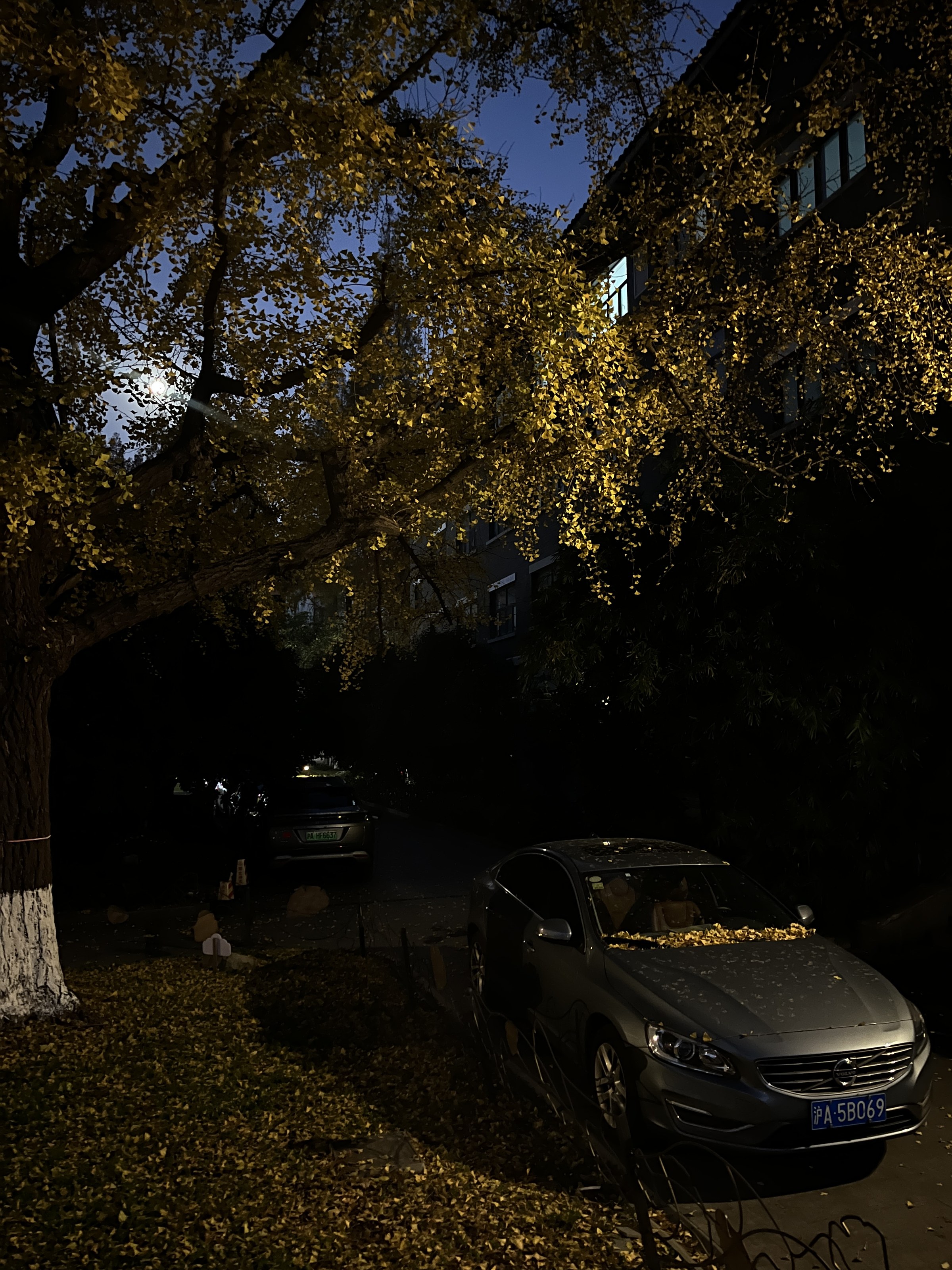 still photograph 10
