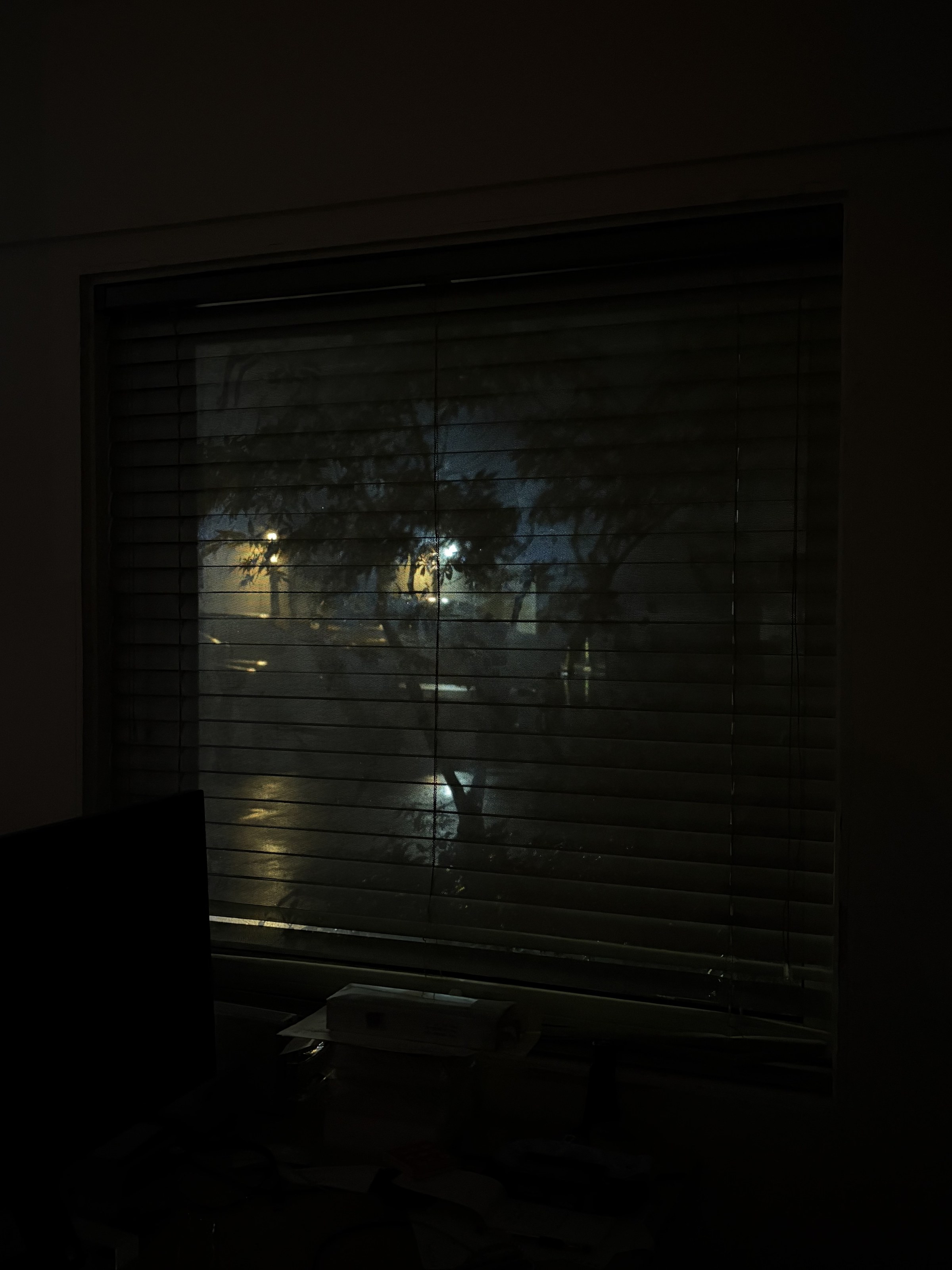 still photograph 11