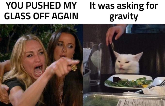 Woman Yelling at a Cat meme: YOU PUSHED MY GLASS OFF AGAIN — It was asking for gravity
