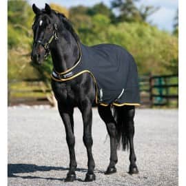 Horseware rambo antichoc léger néoprène demi-pad noir