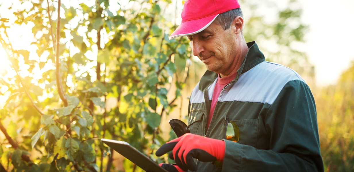 Farmer keeping track of inventory and sales on app