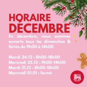 🕒 Horaires d’ouverture pour le mois de décembre chez Delhaize 🎄✨