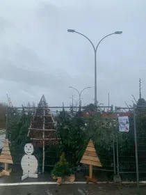 Vente de sapins de Noël au Delhaize Montigny