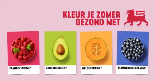 Color your summer - NL