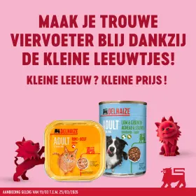 Kleine Leeuw, Kleine Prijs