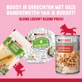 Kleine Leeuwtjes jouw bondgenoten van je budget🦁
