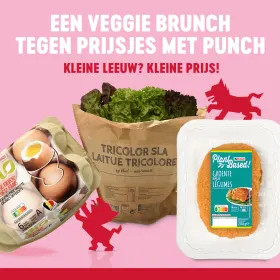 Onze Kleine Leeuwtjes 🦁