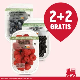 Kleur je zomer gezond 🌈
