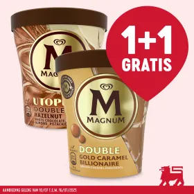 🍦Ijzig genot