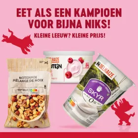 Boost je prestaties met Kleine Leeuwtjes! 🦁