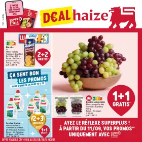 Folder de la semaine 👇
