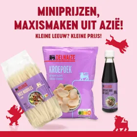 🦁 Kleine Leeuw? Kleine prijs! 🦁