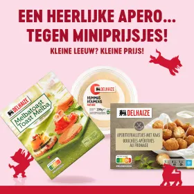 🦁 Kleine Leeuw? Kleine prijs!🦁