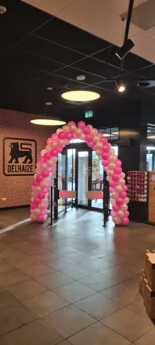 Delhaize Landen