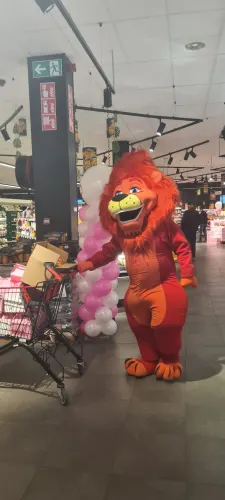 Delhaize Landen