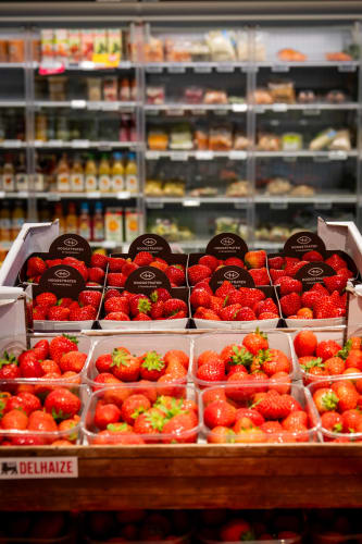 Delhaize Landen