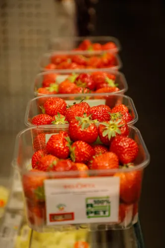 shopandgo Bruxelles