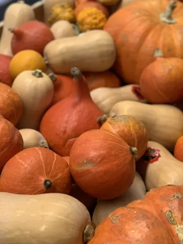 Delhaize-SL Scherpenheuvel