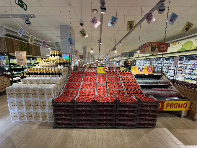 Delhaize Steenokkerzeel