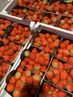 2 BAKJES VOOR €6,50 🍓