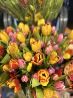 LANG LEVE ALLE MAMA'S 🌷❤️