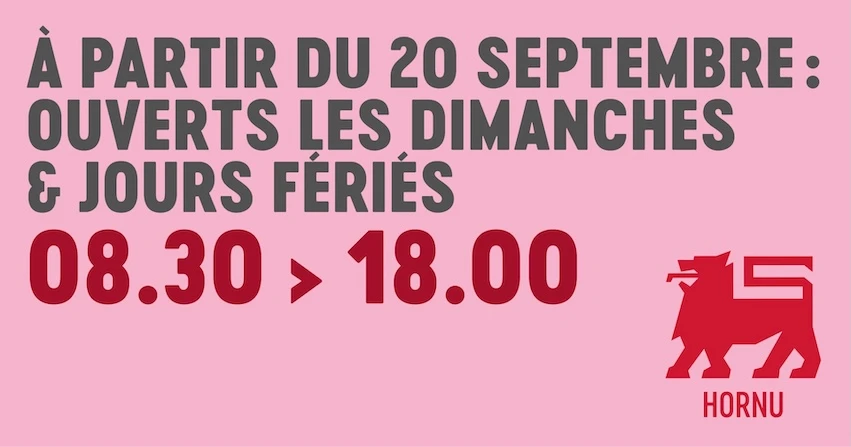 Bannière Delhaize Hornu FR