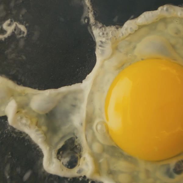 🥚 Verantwoorde eieren, dat maakt het verschil! ✨