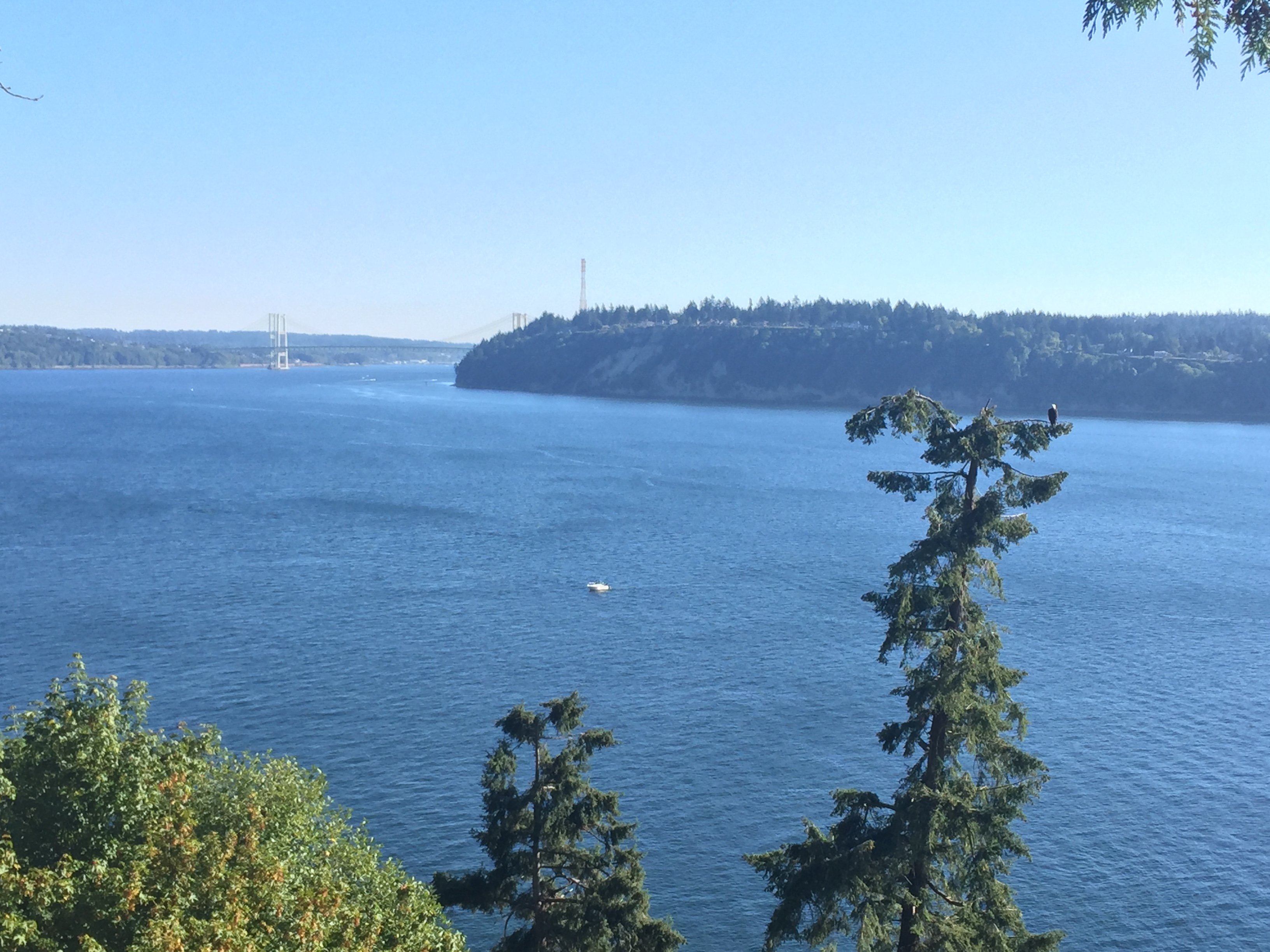 Point-defiance-park-view