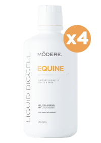 Liquid BioCell® EQUINE (4)