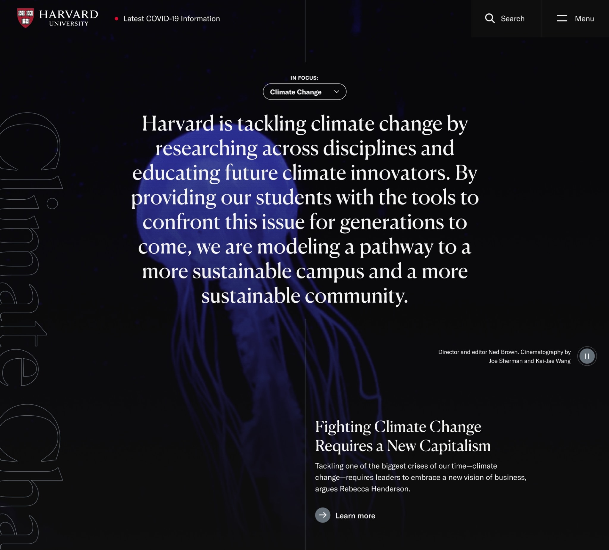 Harvard university homepage feature animated jellyfish.