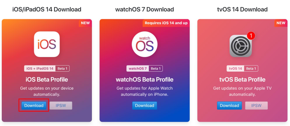 iOS 14 Beta nasıl yüklenir?