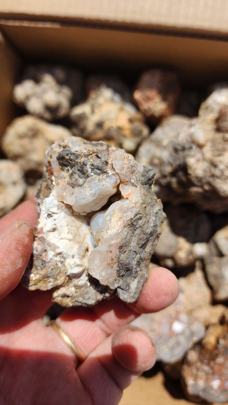 Arizona chalcedony geode lot | Rock Tumbling Hobby
