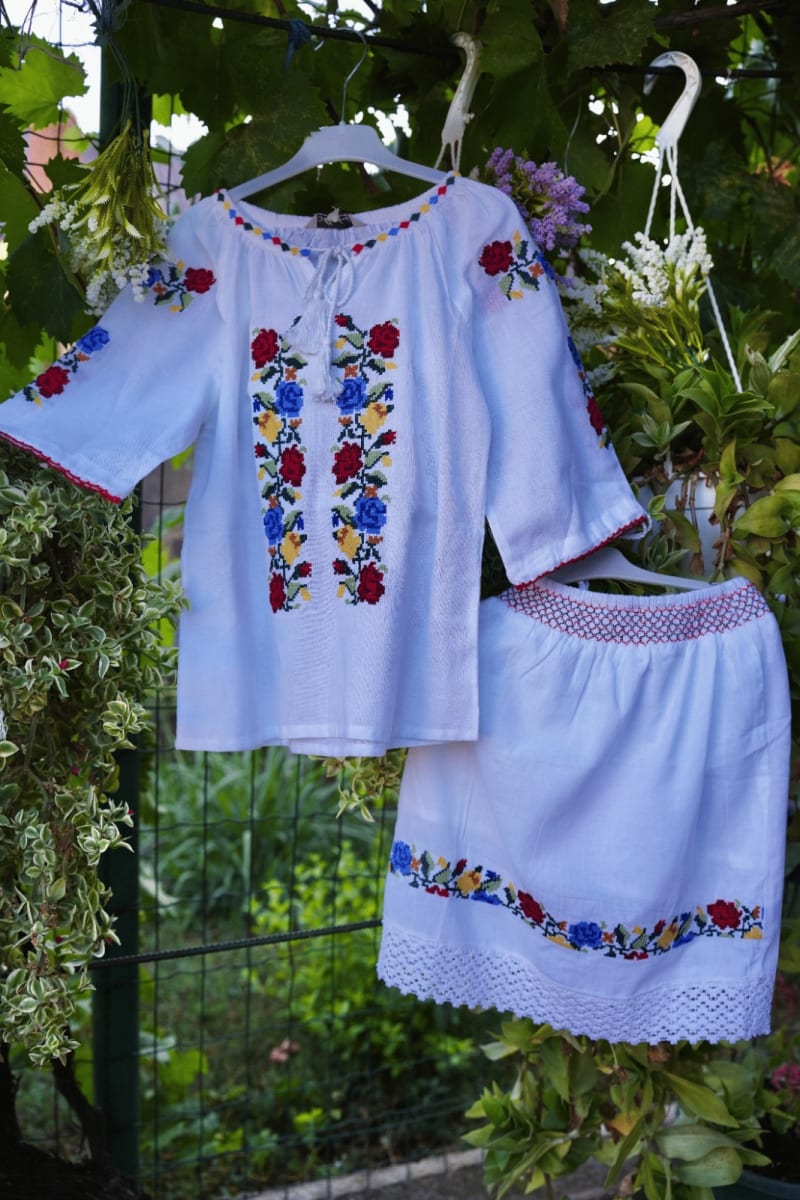 ModernIE 🌻,, Tricolor " MD 184