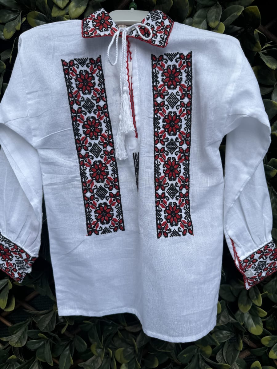 ModernIE ”Școlar”201920