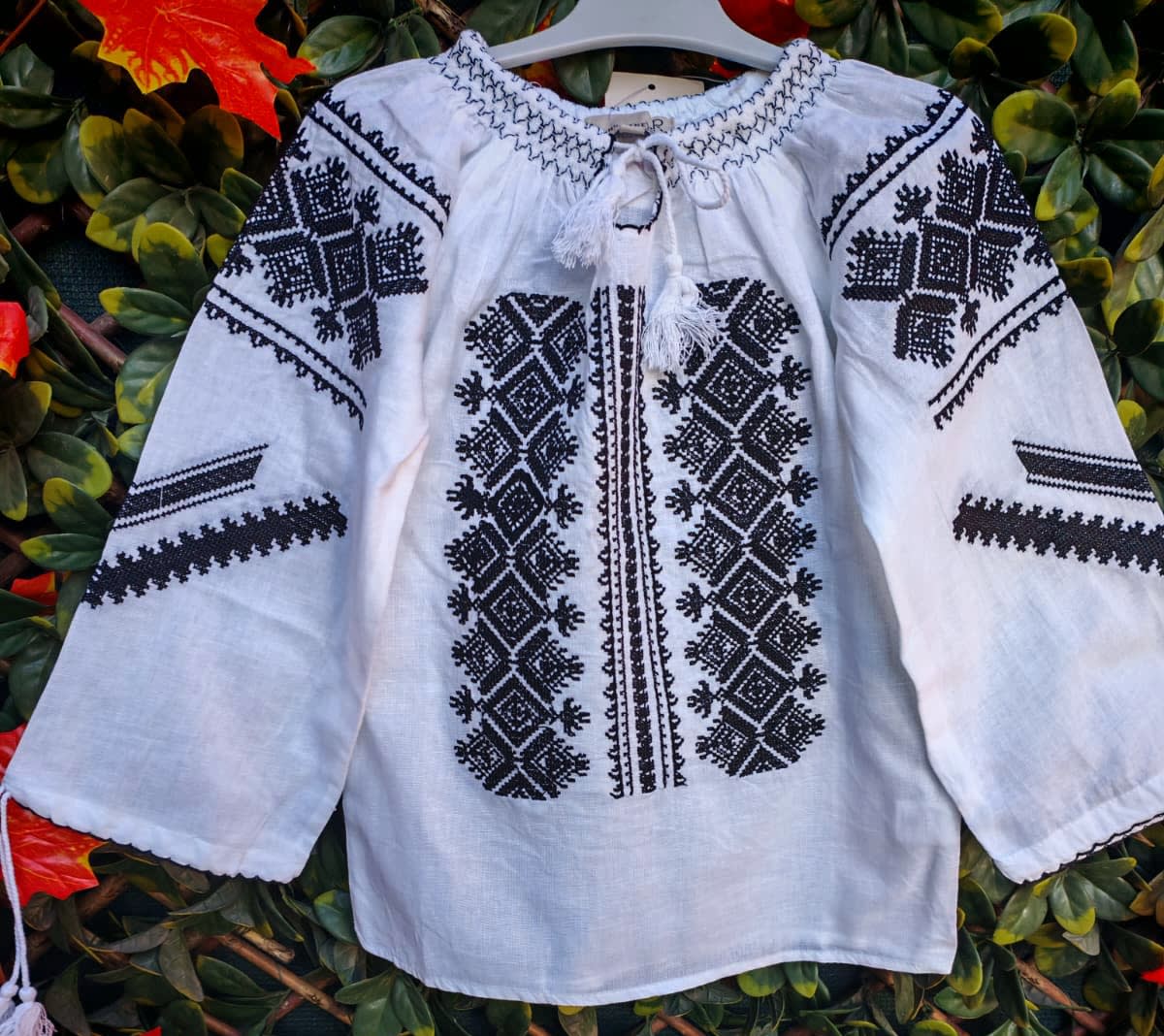 ModernIE 🌻,, Simina " MD 223