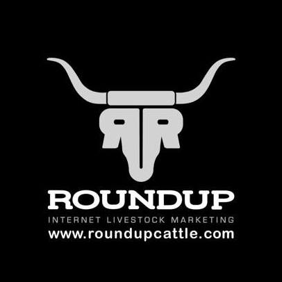 Round Up Cattle Internet Livestock Marketing Modus Partner Logo