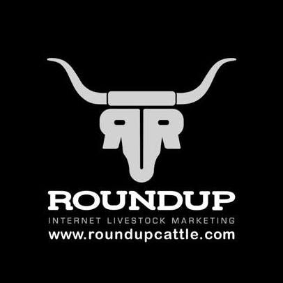Round Up Cattle Company Round Up Cattle Internet Livestock Marketing Modus Partner Logo