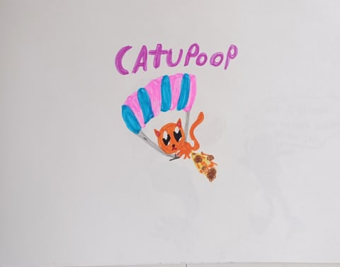 cattupoop