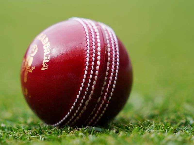 Leather cricket ball red